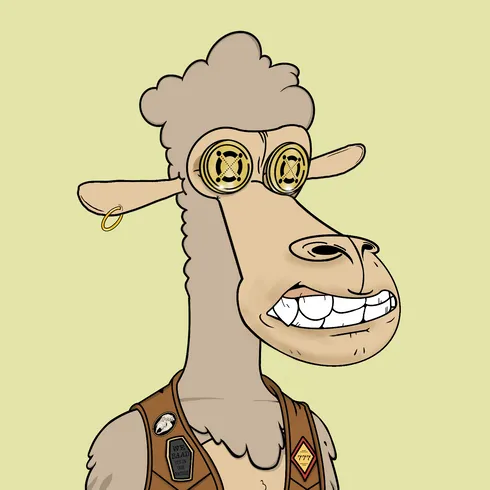 Profile picture of collection BAADxSHEEP