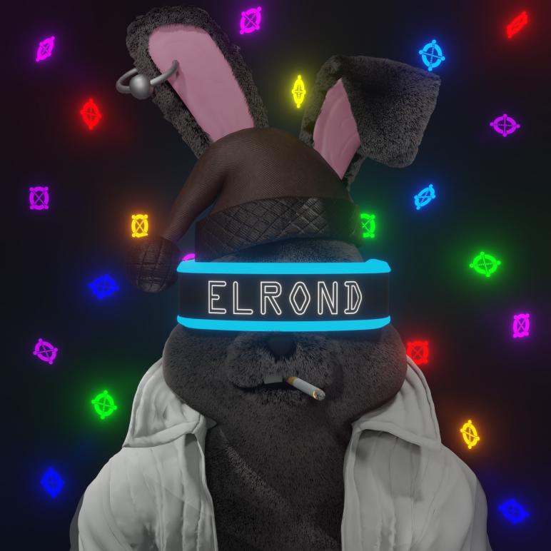 Profile picture of collection ElrondBunny