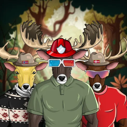 Profile picture of collection DEERS
