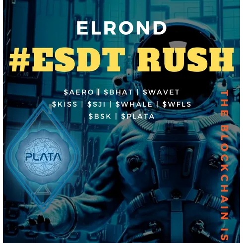 Profile picture of collection ESDT RUSH