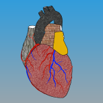 Profile picture of collection eHearts