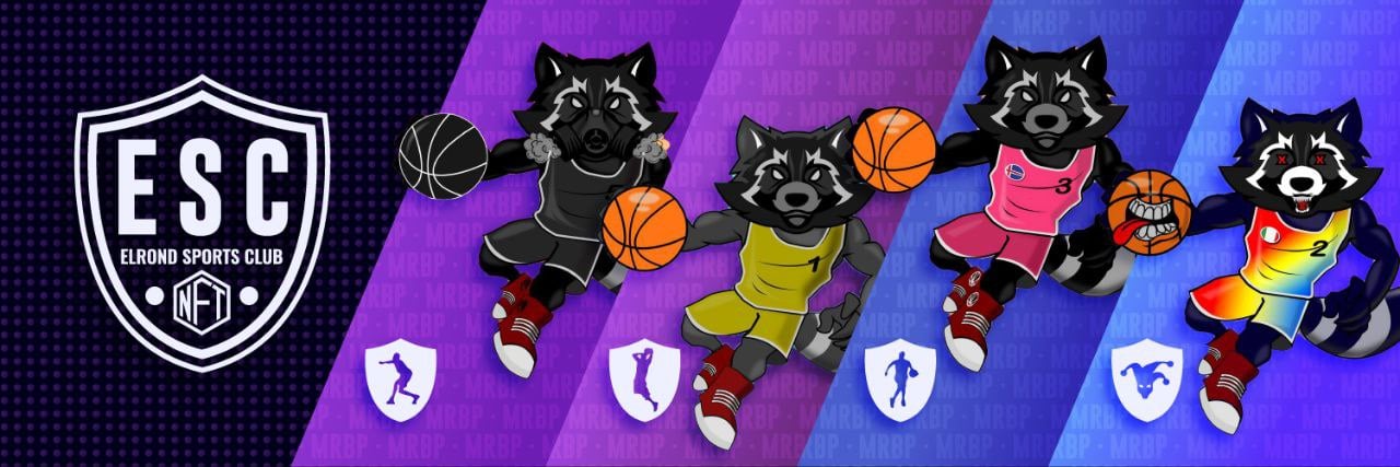 Banner of collection XRaccoons