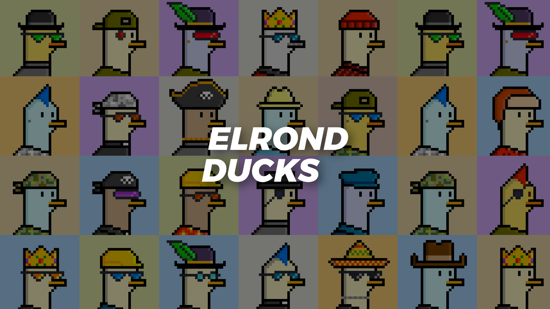 Profile banner of collection The Ducks