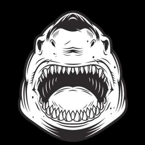 Profile picture of collection SharksDeluxe