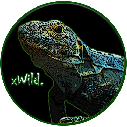 Profile picture of collection xWild