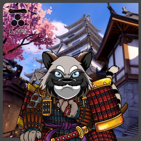 Picture of Collectible Raccoon of Sengoku #11