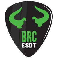 Logo of ESDT token BullishRockersClub